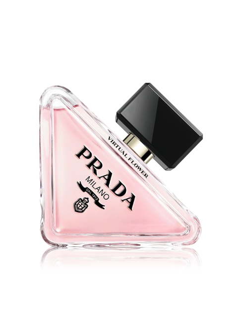 برادا برادوكسي